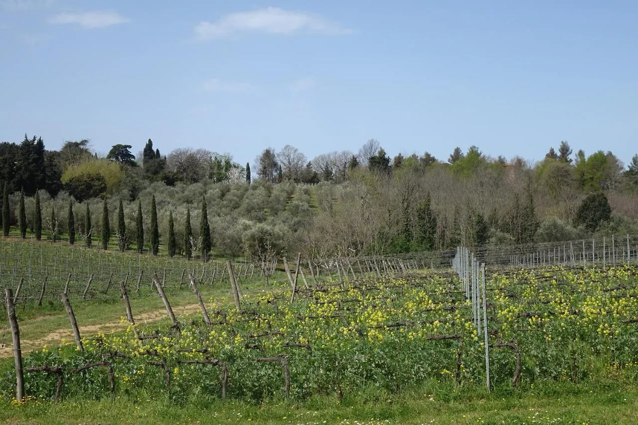 Agriturismo Gli Archi Fauglia Alloggio per agriturismo
