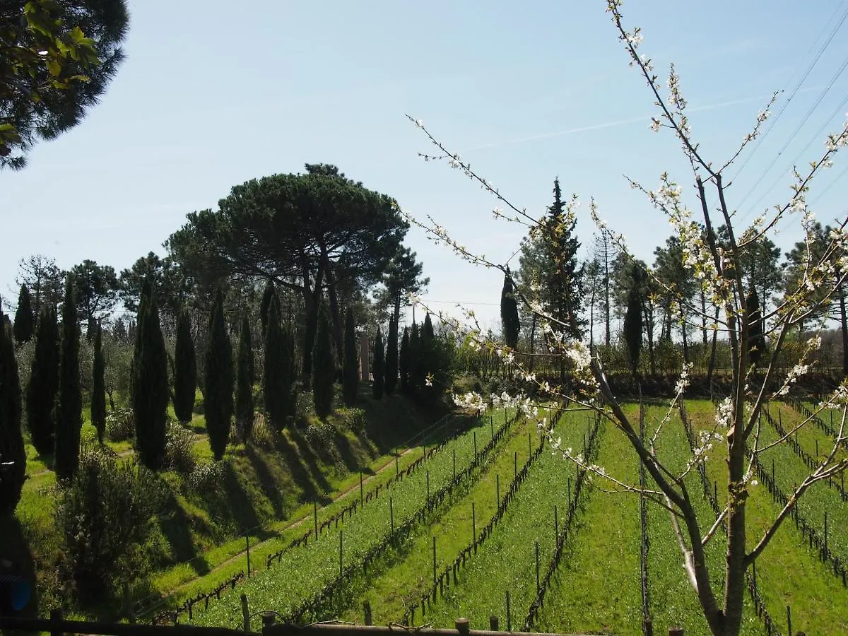 Agriturismo Gli Archi Fauglia 0*,