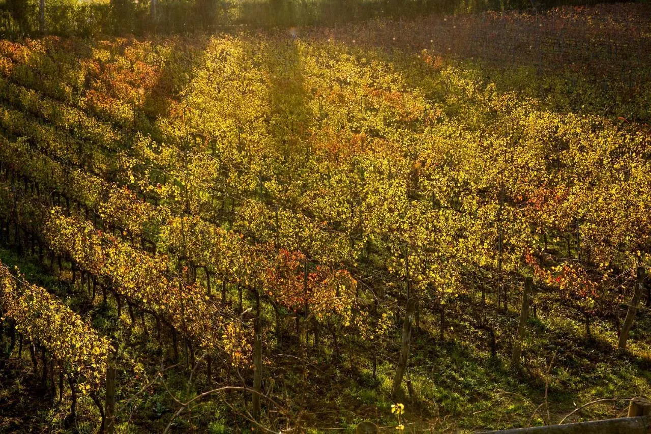 Agriturismo Gli Archi Fauglia Alloggio per agriturismo