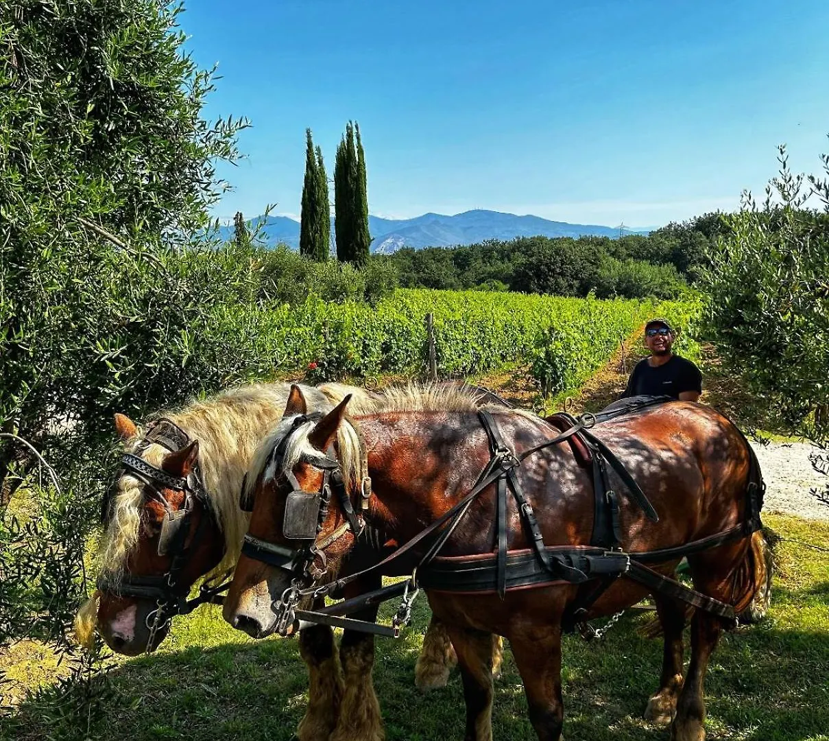 Agriturismo Gli Archi Fauglia Italia