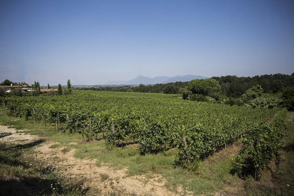 Agroturismo Agriturismo Gli Archi Fauglia