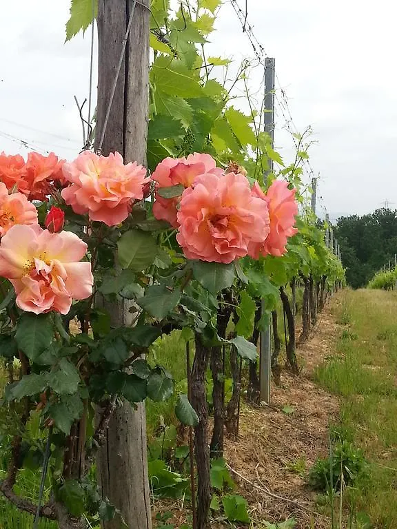 Agriturismo Gli Archi Fauglia