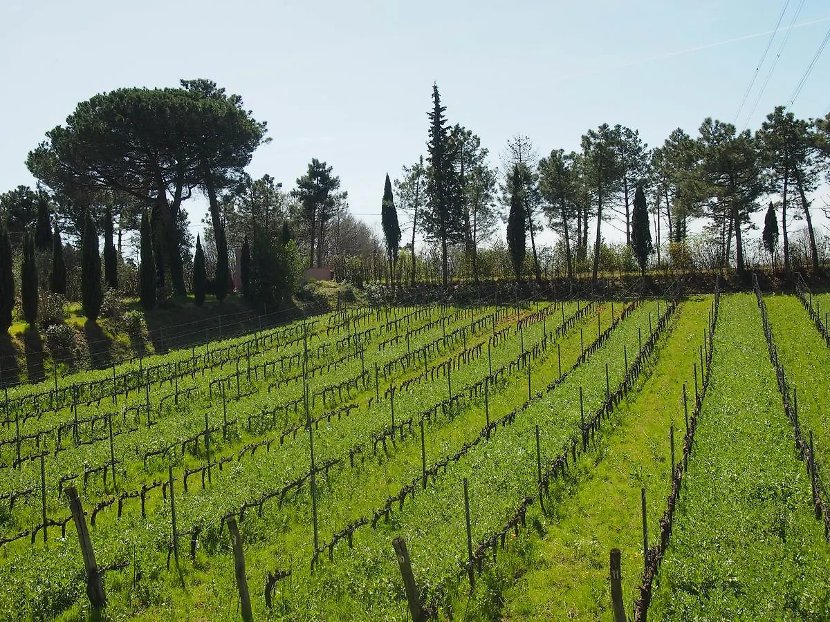 Agroturismo Agriturismo Gli Archi Fauglia