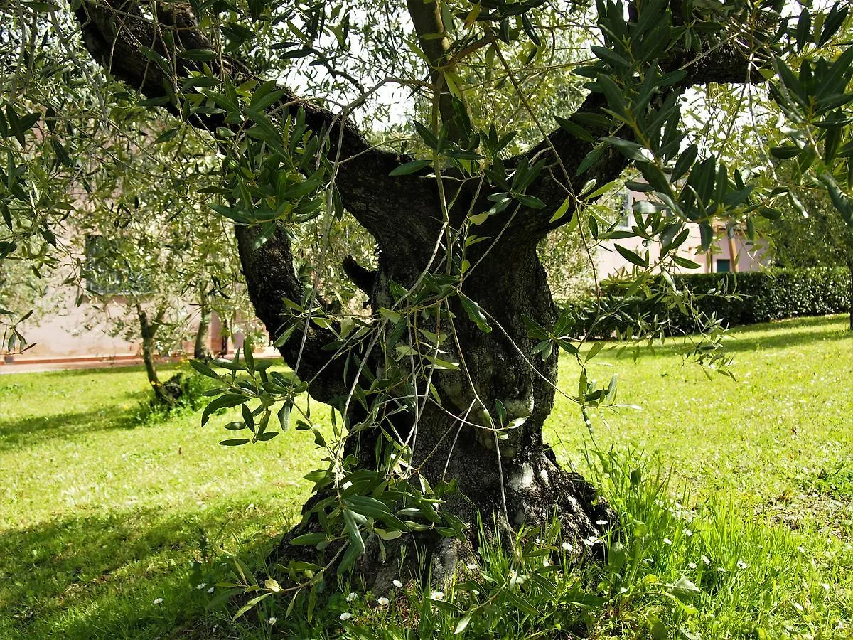 Agriturismo Gli Archi Fauglia Italia